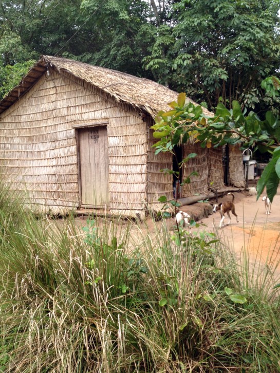 objetosdafloresta-20.4-casinha