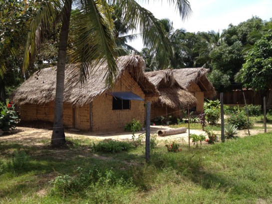 objetosdafloresta-29.4taipa