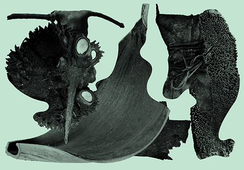 objetosdafloresta-oficinarecife