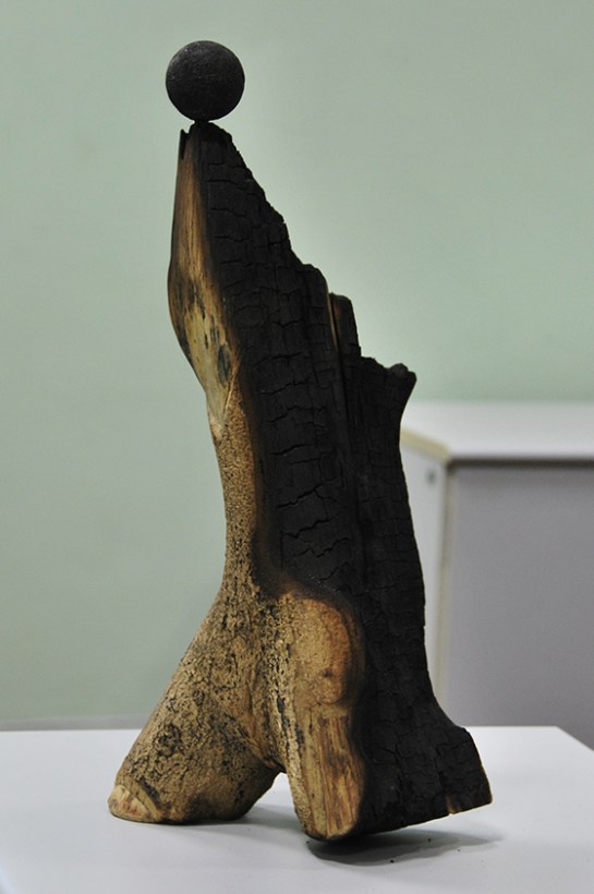 objetosdafloresta-jluizmilha7